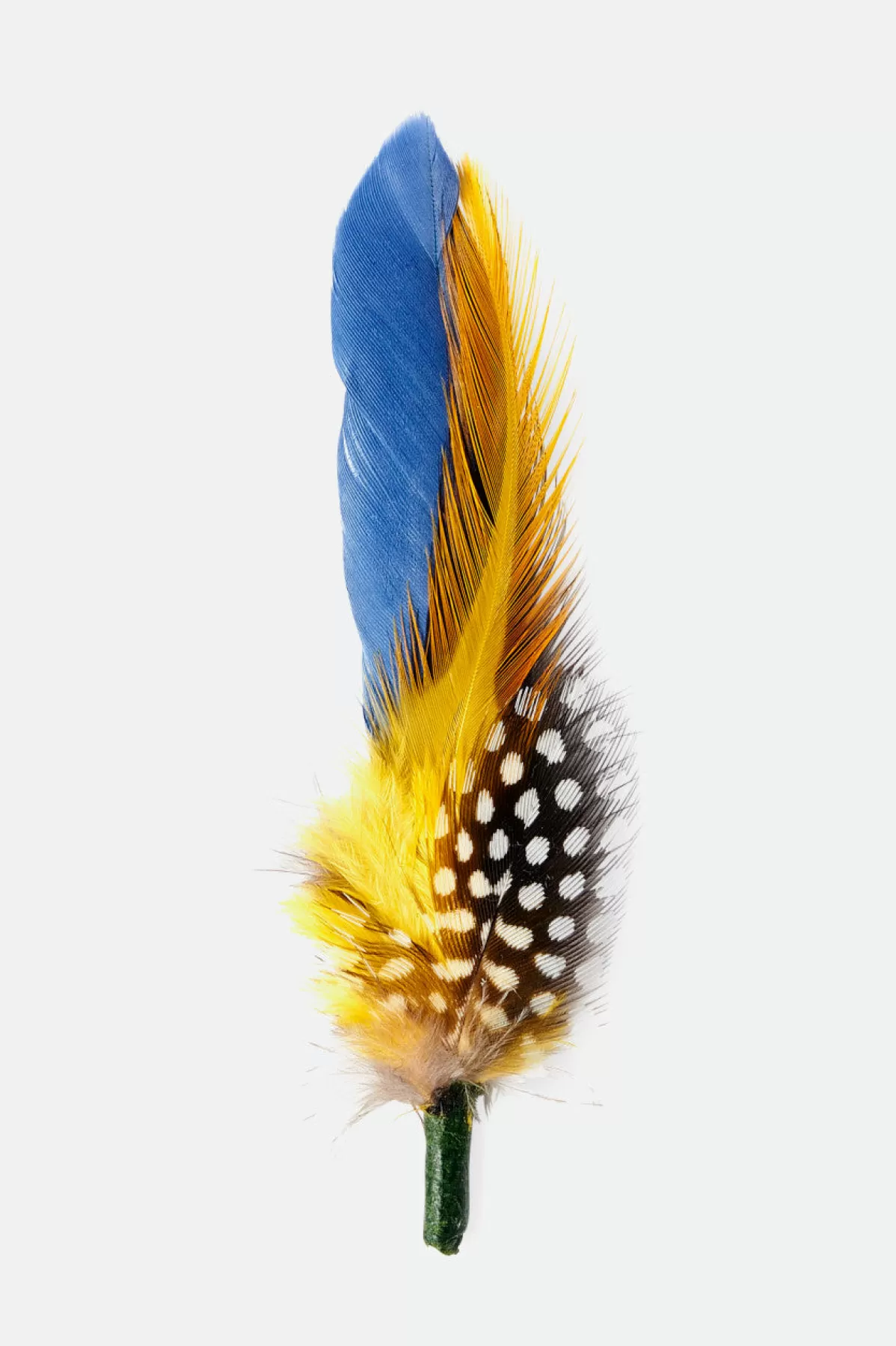 Hat Accessories | Hat Accessories-Brixton Hat Feather Joe Blue/Black/Yellow