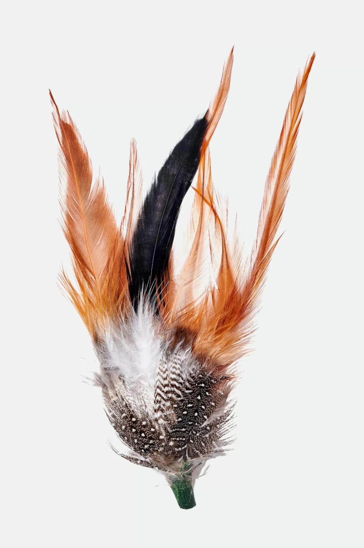 Hat Accessories | Hat Accessories-Brixton Hat Feather Burnt Orange/Black/Mahogany