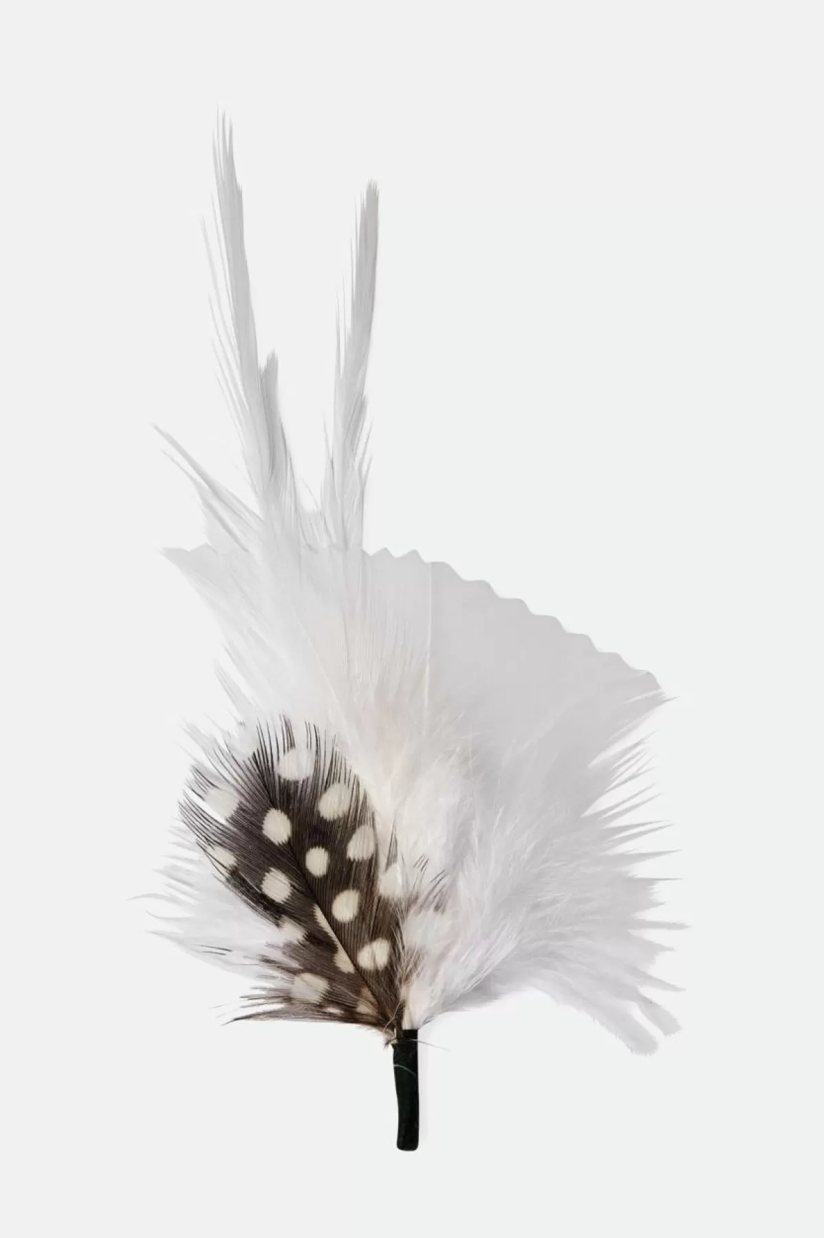 Hat Accessories | Hat Accessories-Brixton Hat Feather White/Black